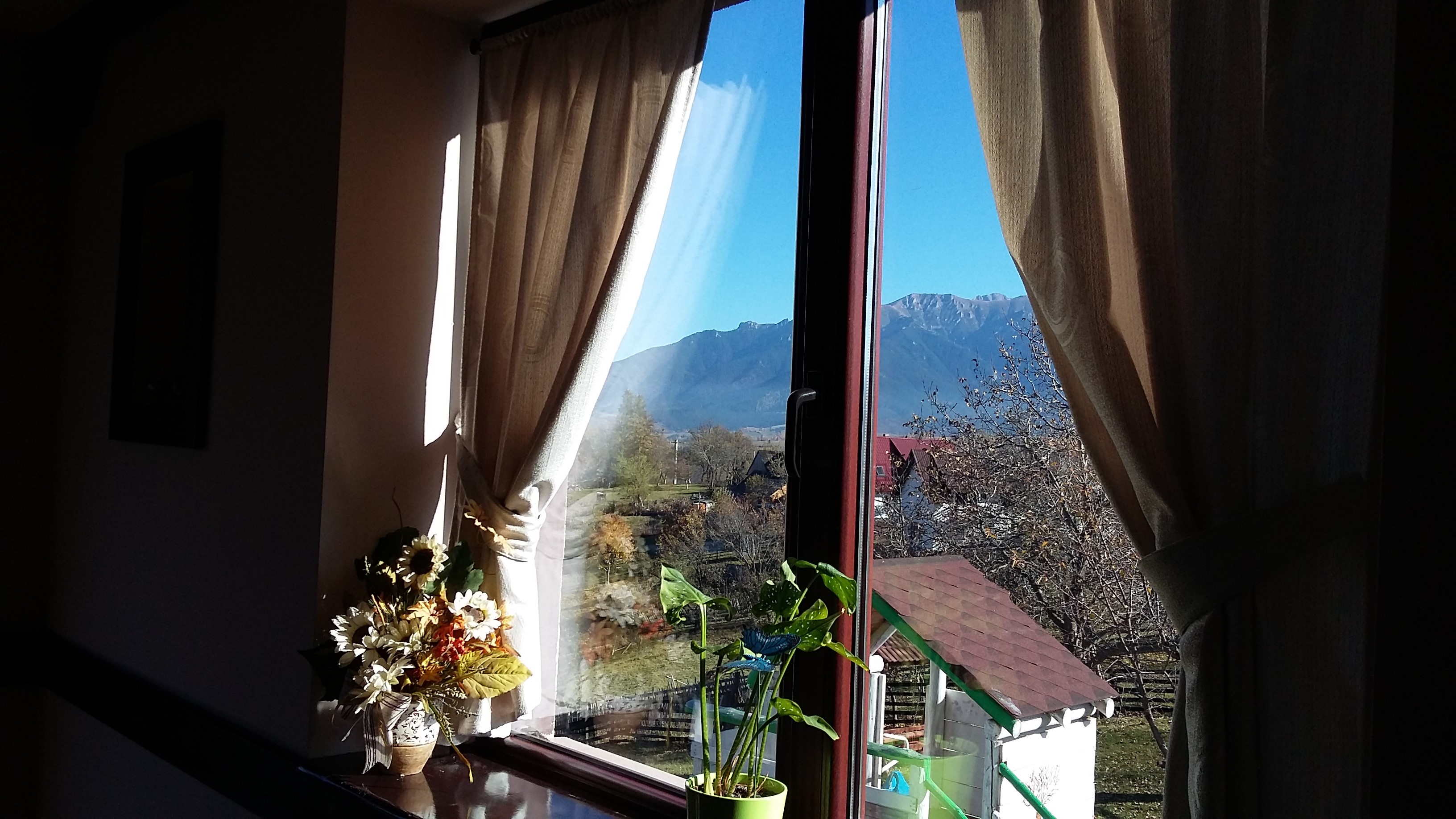 poze nicoleta 615.jpg