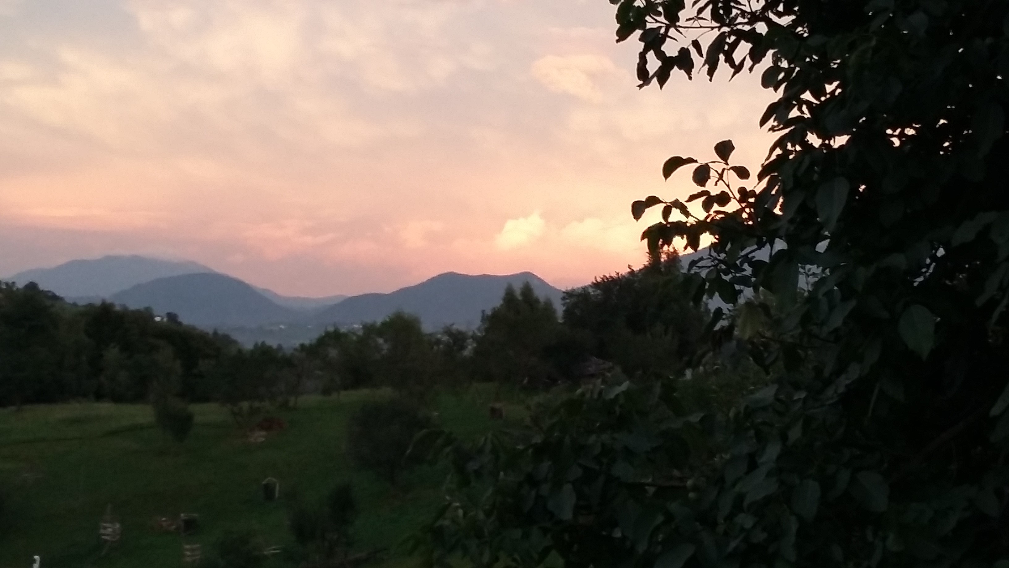 poze nicoleta 202.jpg