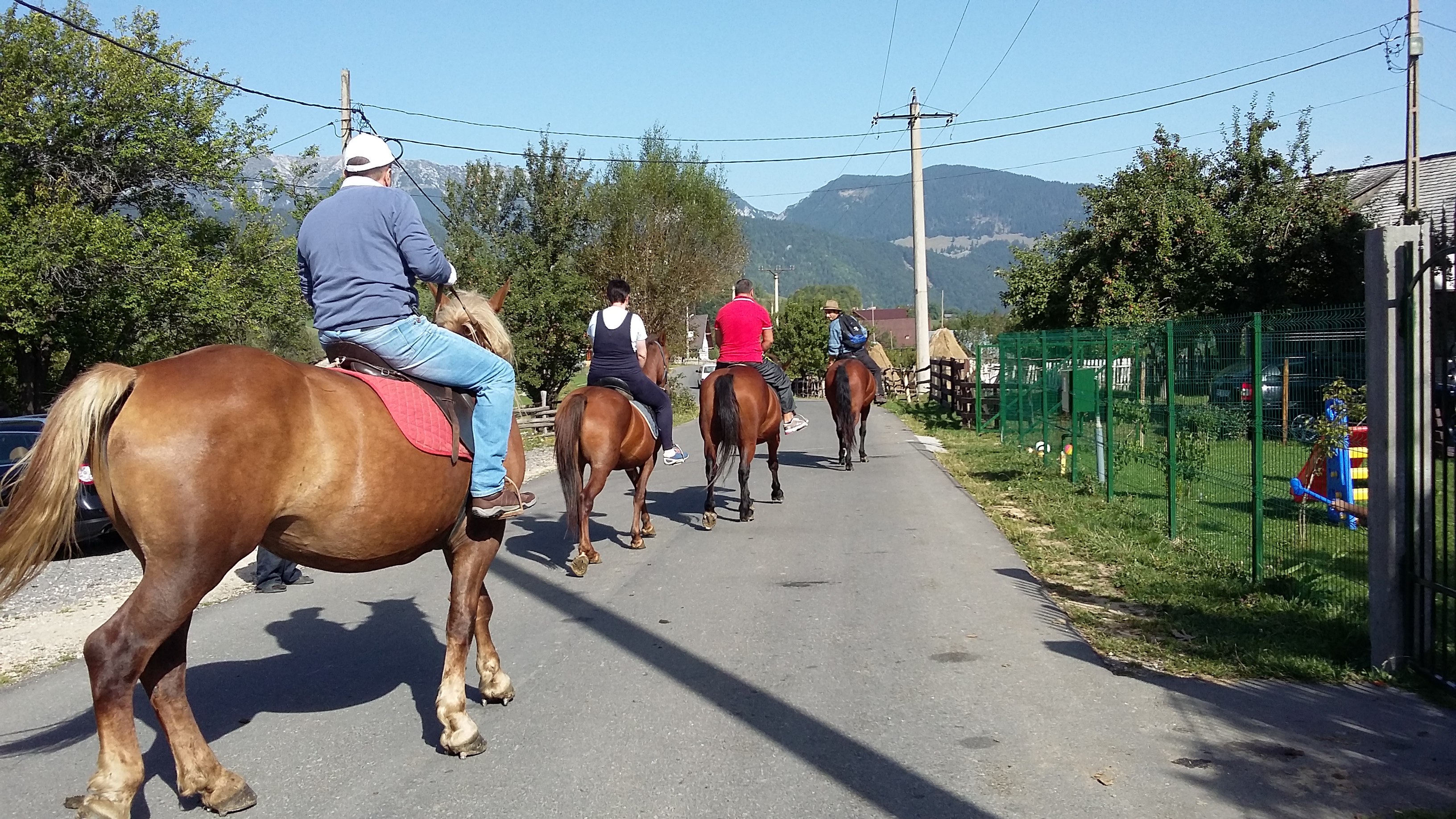 poze nicoleta 276.jpg