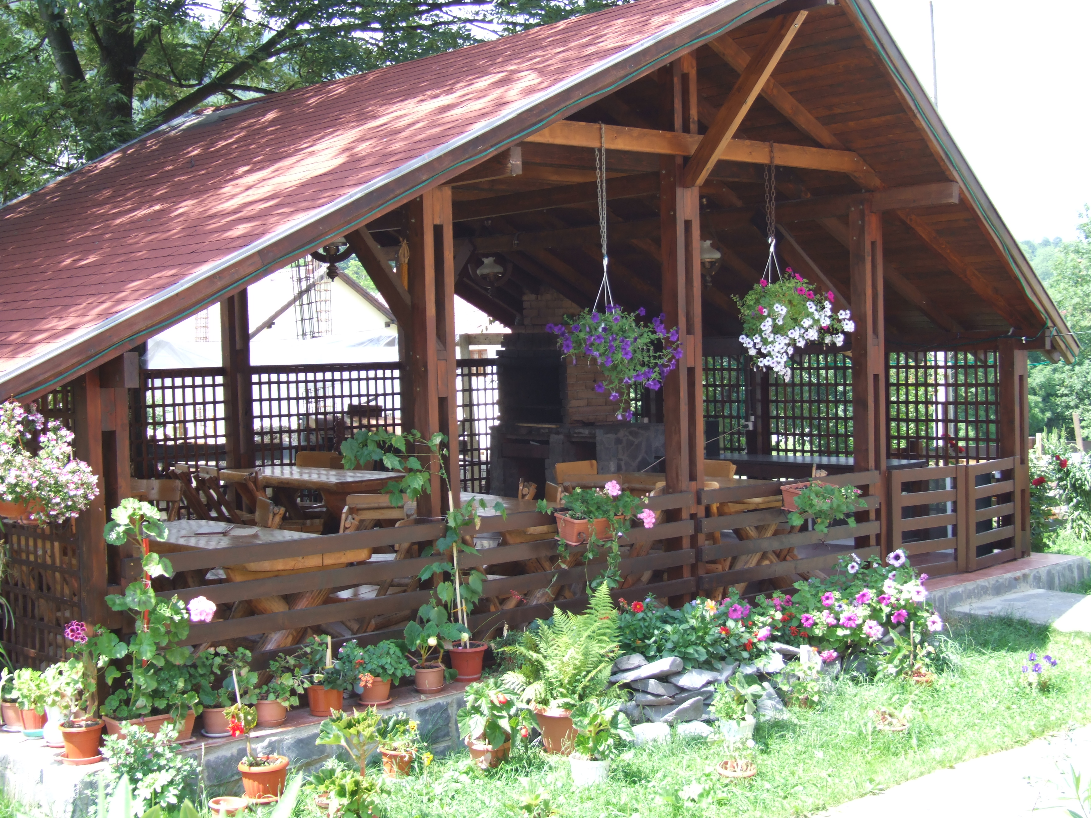 DSCF2384.JPG