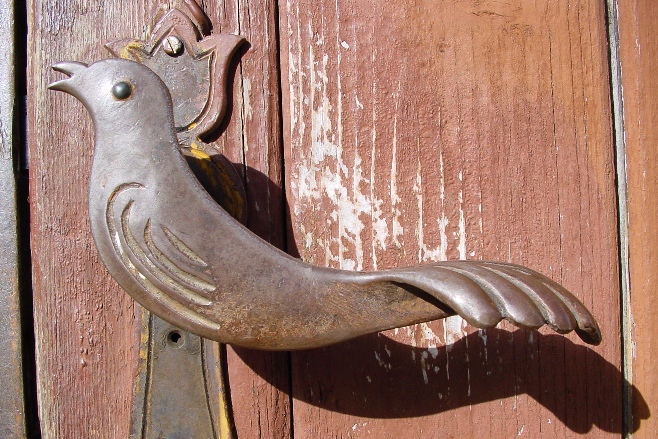 Felcsík_Madárka madárka_Ádám Gyula.JPG