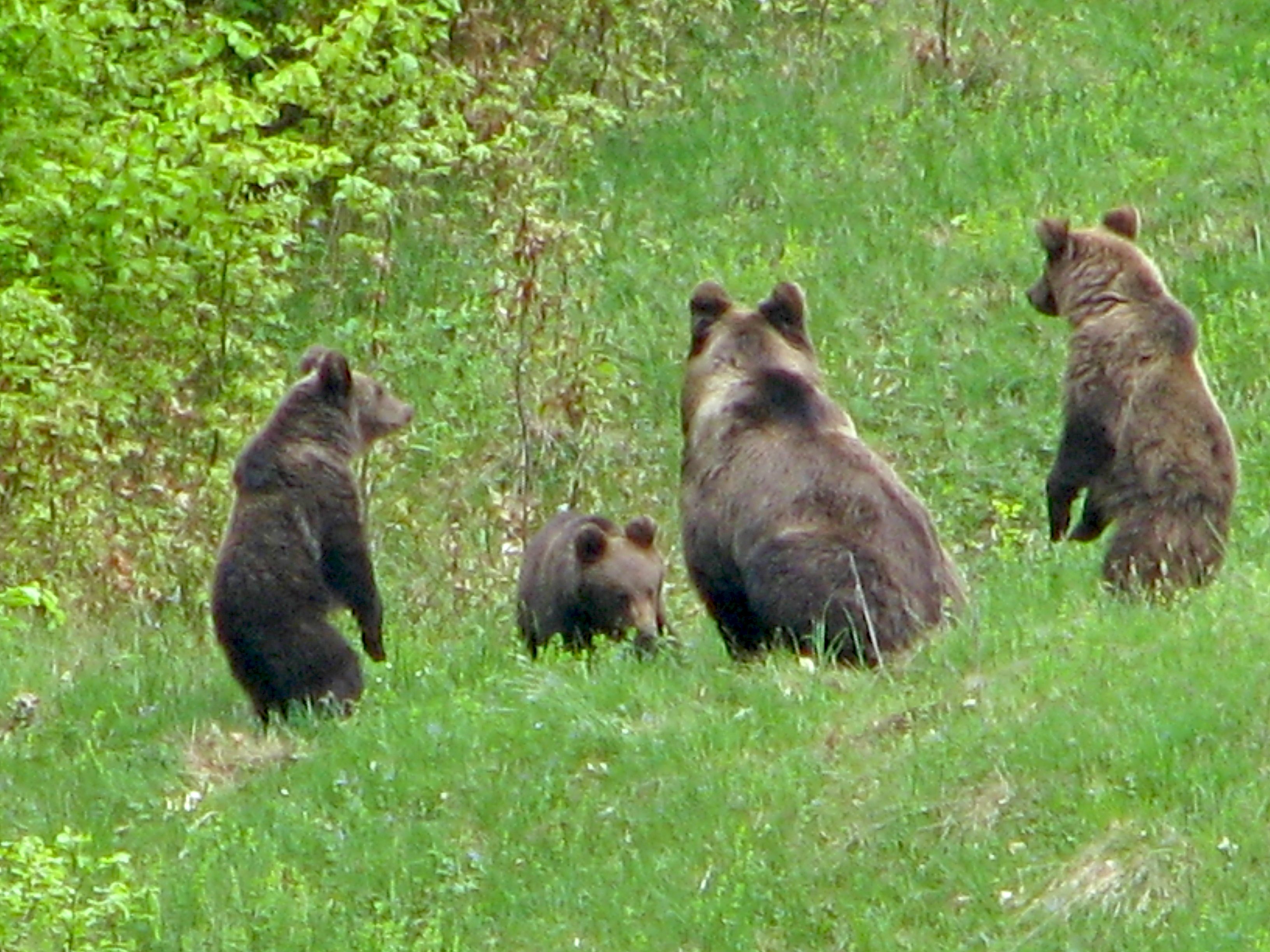 foto27_bekecs_hegy (1).jpg