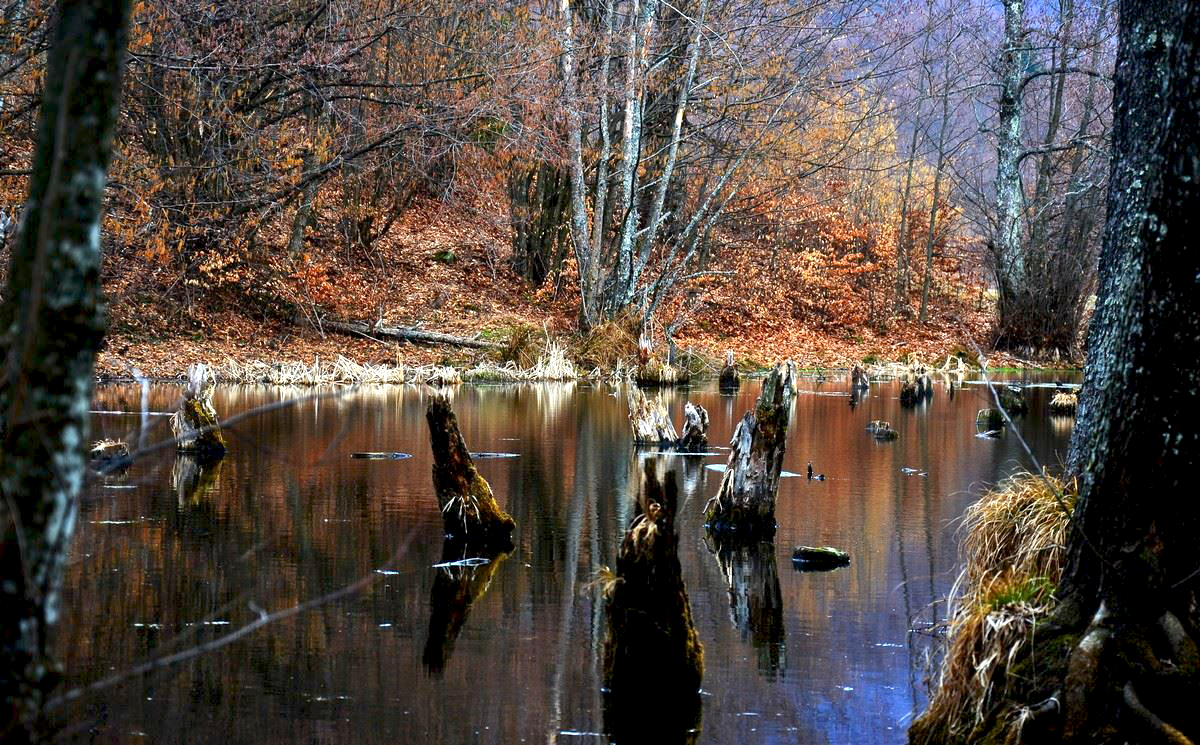 Foto Belfenyeri Gabor.jpg