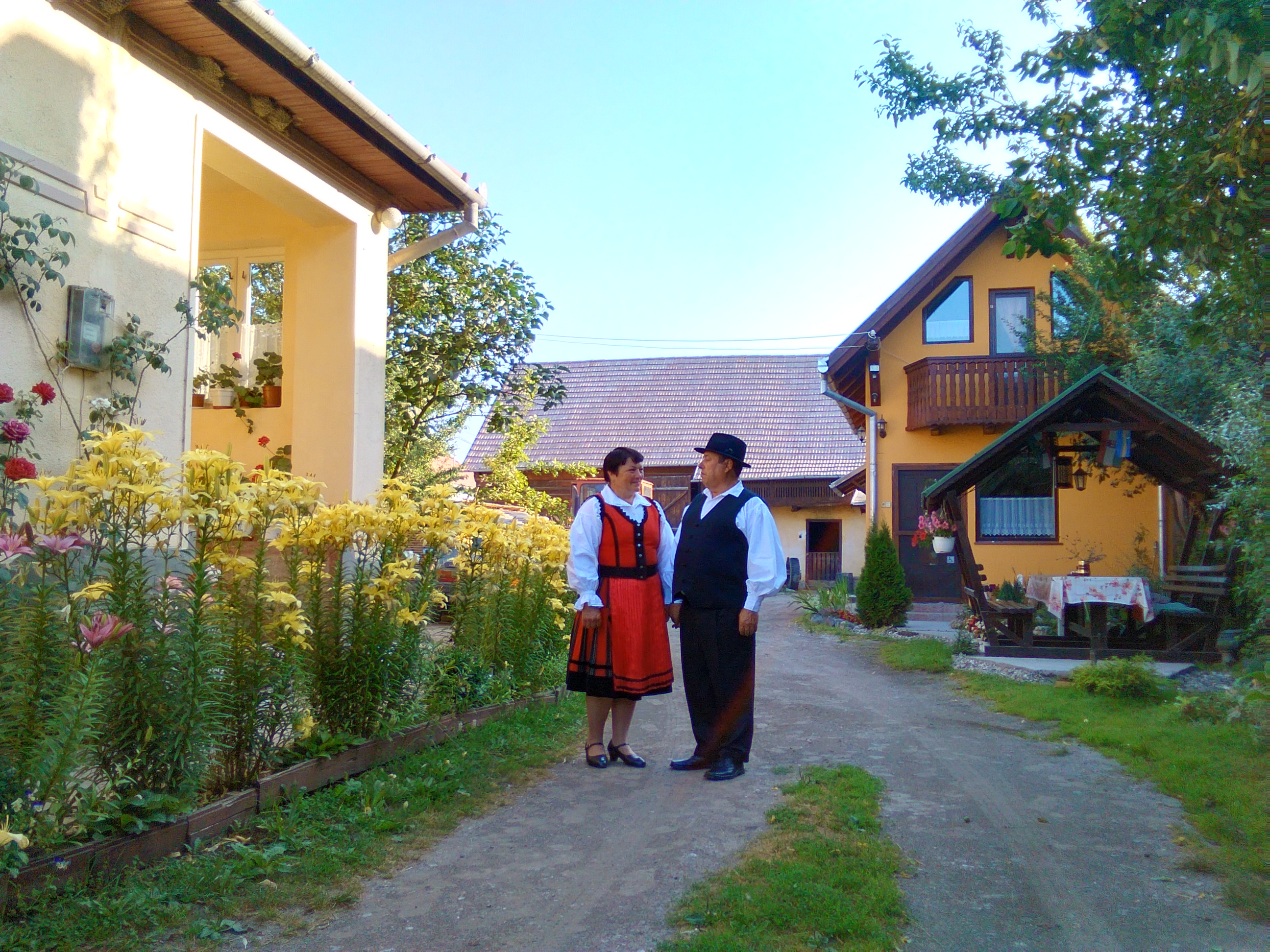 Madaras Cabana Lali cazare accomodation szállás Gasthaus Pension