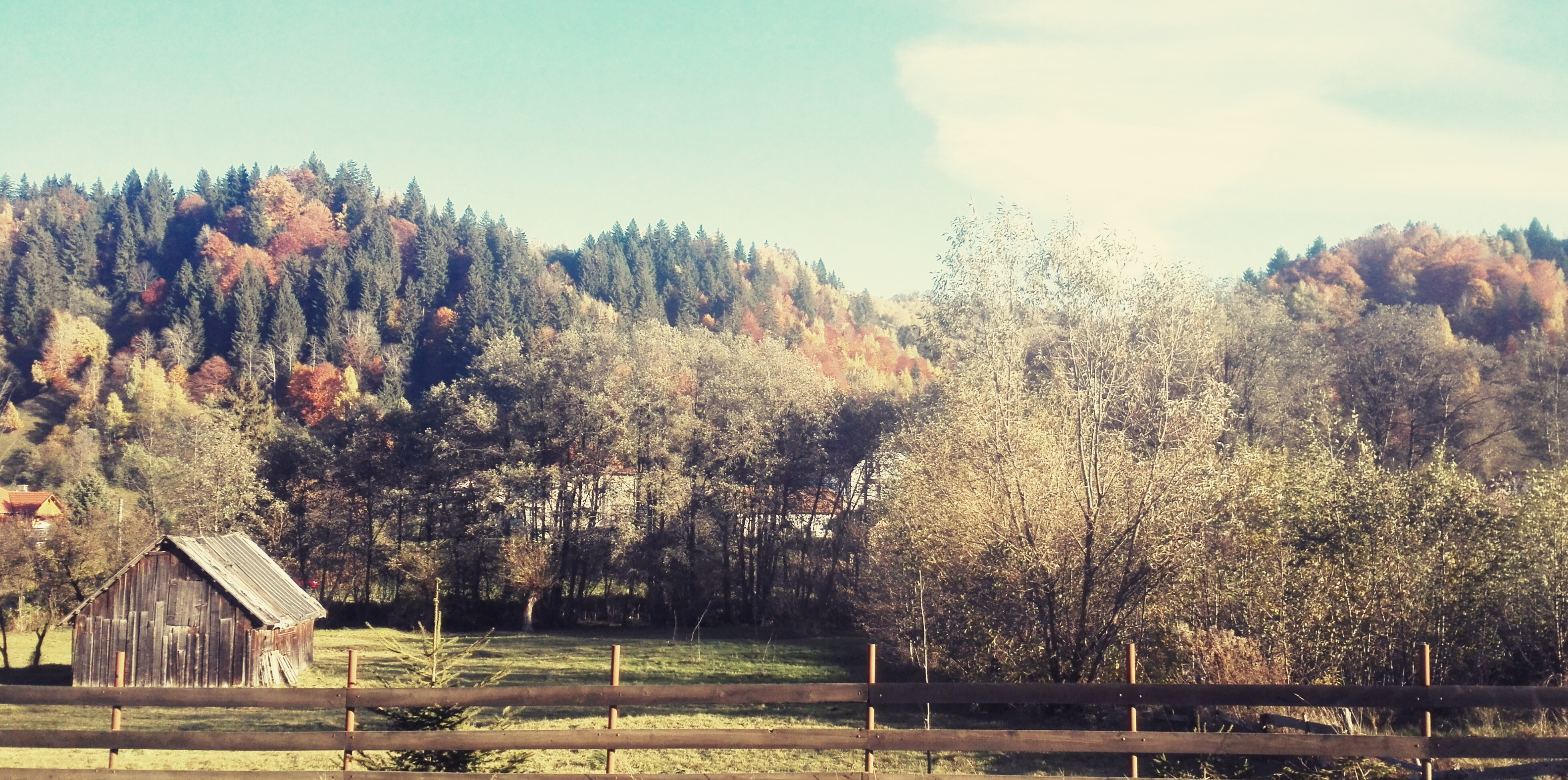 Vedere din casa.jpg